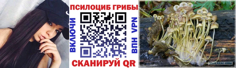 магазин  наркотиков  Ржев  Псилоцибиновые грибы GOLDEN TEACHER 
