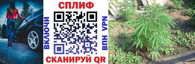 Шишки марихуана Bruce Banner  где купить наркоту  Ржев 